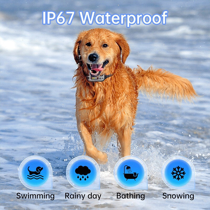 Wireless GPS dog fence collar T23S