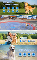 Wireless GPS dog fence collar T23S