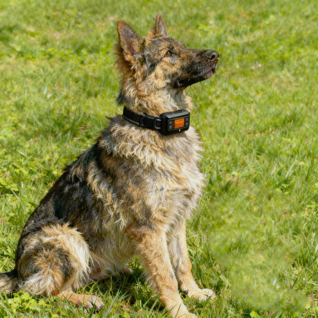 Wireless GPS Dog Fence collar F810