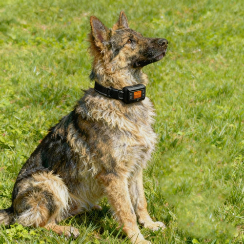 Wireless GPS Dog Fence collar F810