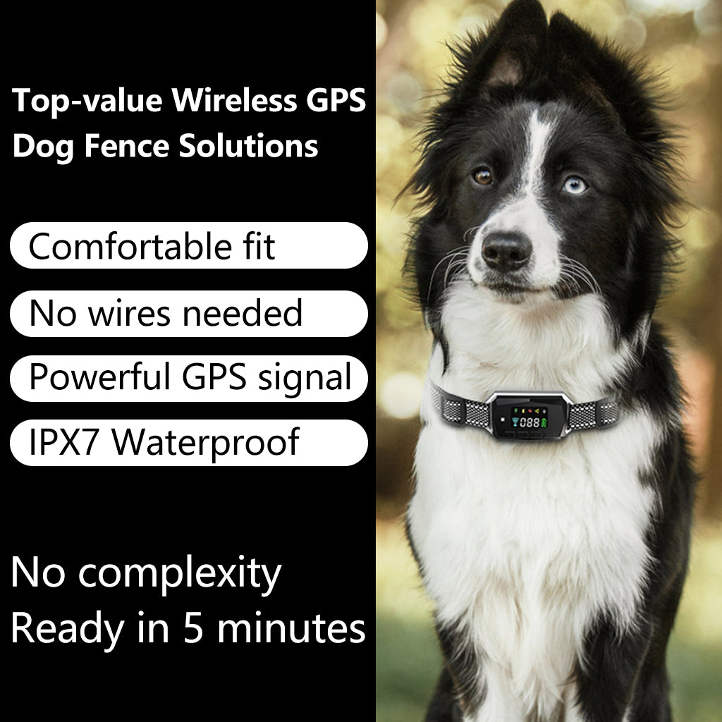 Wireless GPS Dog Fence PD100, 2-in-1 Fence & Training Collar