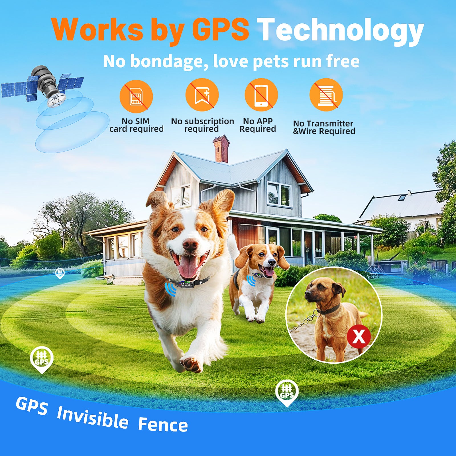 TZ727 Wireless GPS Dog Fence Collar — Smart, Safe, Wire-Free Freedom for Your Dog